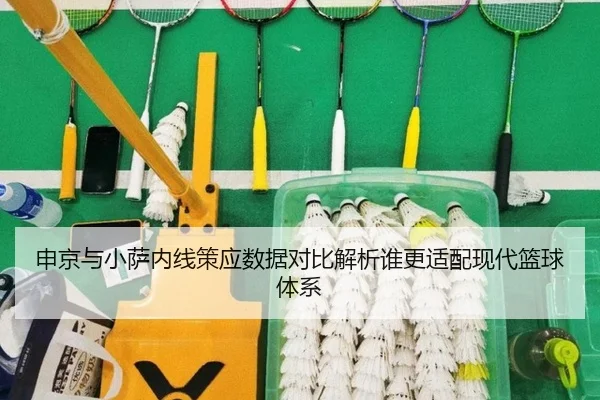 申京与小萨内线策应数据对比解析谁更适配现代篮球体系