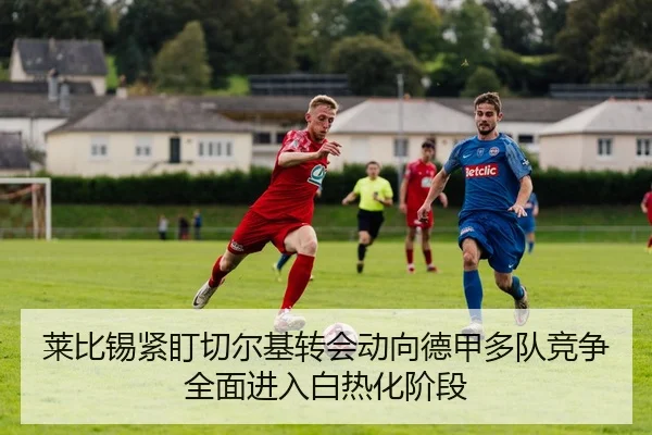莱比锡紧盯切尔基转会动向德甲多队竞争全面进入白热化阶段